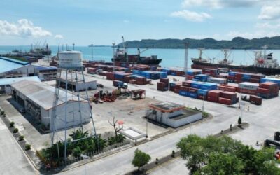 VCT expects to receive 2 new cranes in Sept