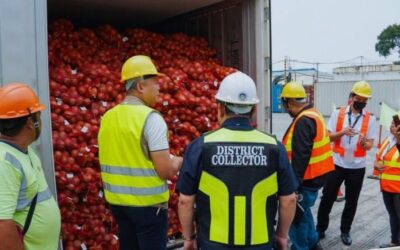 BOC-Port of Manila seizes P2M fresh onions without permits