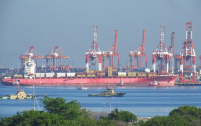 Shipping lines cry foul over port ‘congestion’ blame