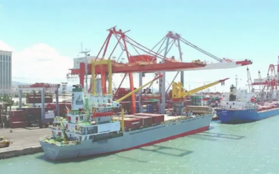 CPA extends free storage period for inbound containers to 10 days